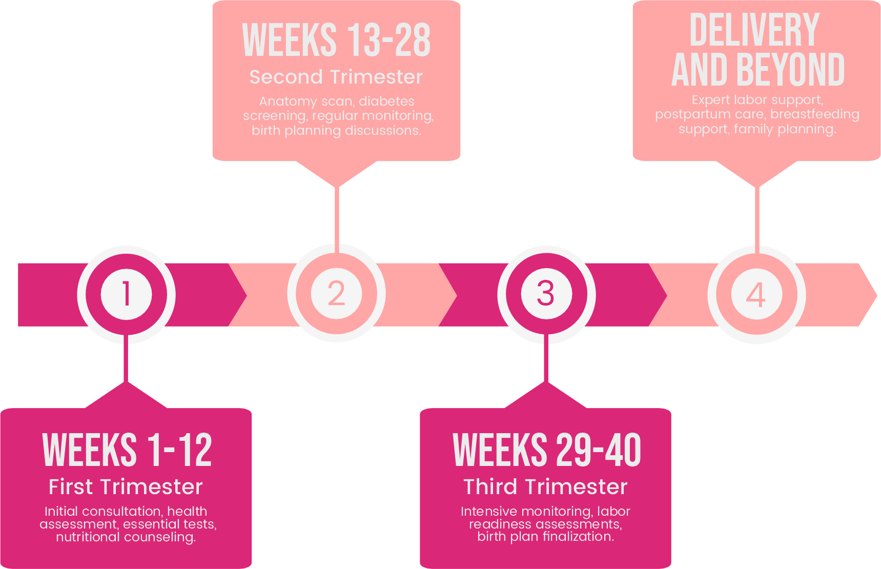 An infographic timeline titled